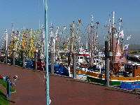 Hafen-Ditzum1